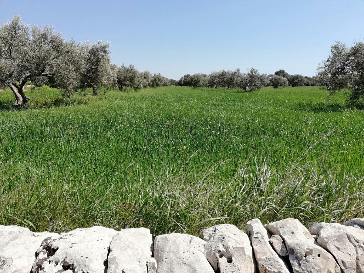 La Dimora Del Decano Villa Scicli Buitenkant foto